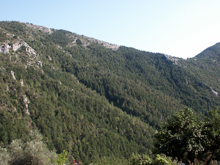 2004-07 Lucéram 029.jpg - DCF 1.0